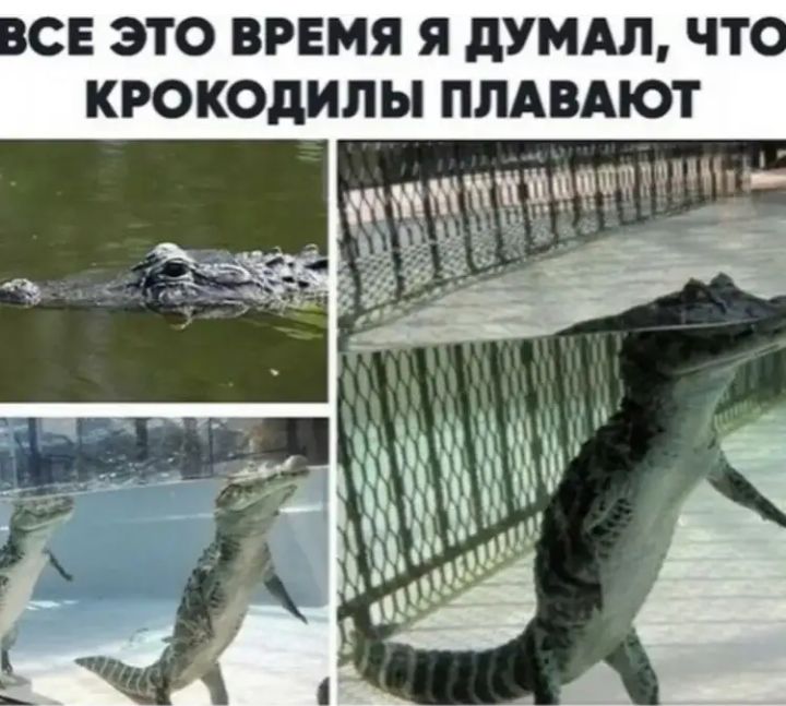 _ чТ МВ УА дл яп Яы мл и Рд юо ЭР ЕК
