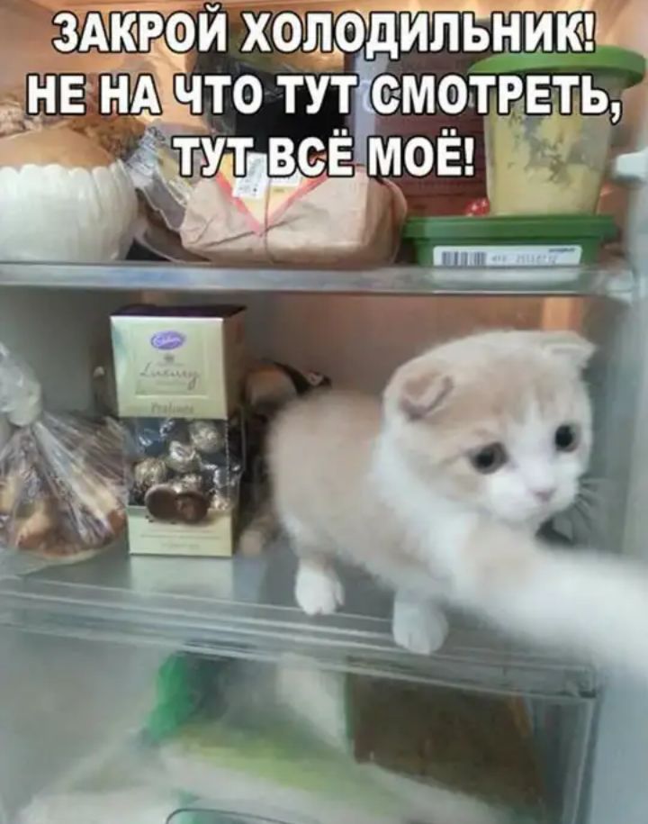 _ _ ЧТО ТУТ СМ9ТіЕТ Ъ