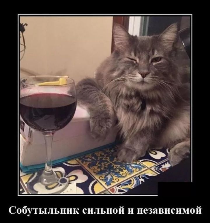 Собутыльник сильной и независимой