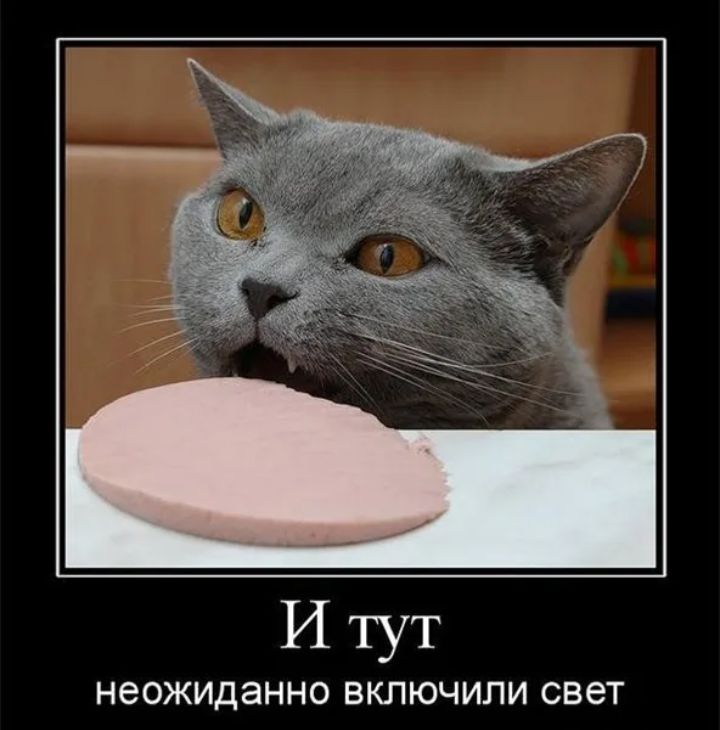 Итут НЭОЖИДЭННО ВКЛЮЧИПИ СВЕТ