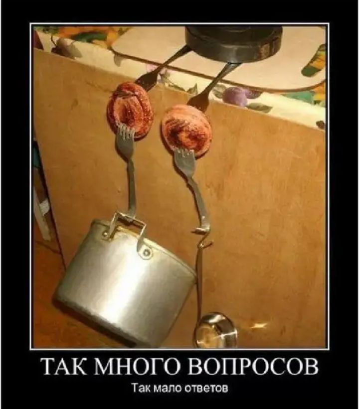 __1 ТАК МНОГО ВОПРОСОВ Так МЗПО ОТВЁТОБ