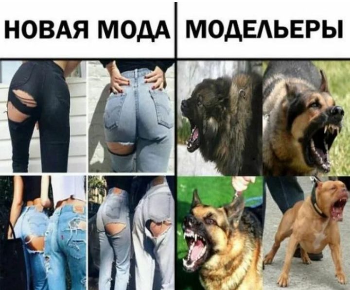 НОВАЯ МОДА МОДЕАЬЕРЫ