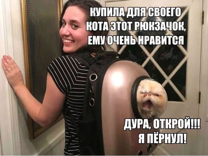 ШШШ дпп ЕВВЕШ энотдптпчйінздчпц ЕМУ річінь НРАВИТЁЯ д Г дм отнюи ёі пЁинит