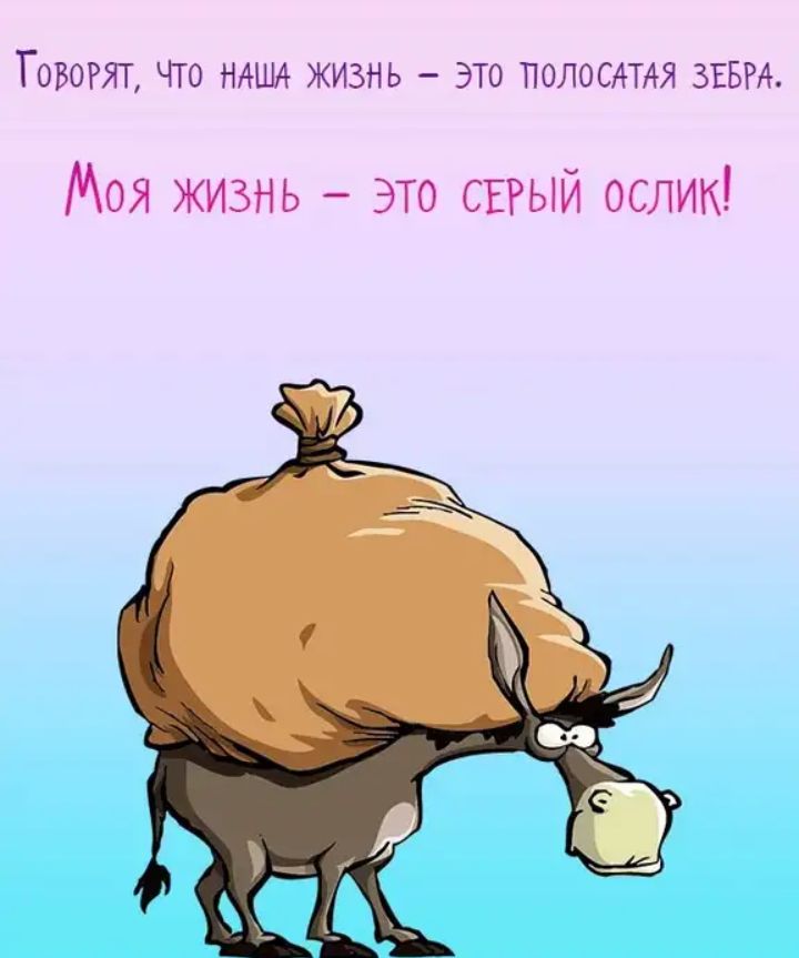 ГОВОРЯТ ЧТО НАША ЖИЗНЬ ЭТО ПОЛОСАТАЯ ЗЕБРА Моя жизнь это СЕРЫЙ ослик
