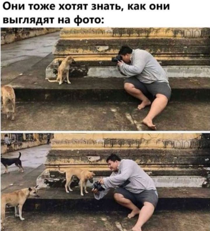 ОНИ тоже ХОТЯТ ЗНЗТЬ как ОНИ ВЫГЛЯДЯТ на фОТО