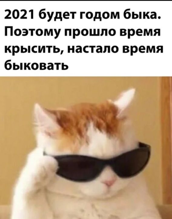 2021 будет годом быка Поэтому прошло время крысить настало время быковать