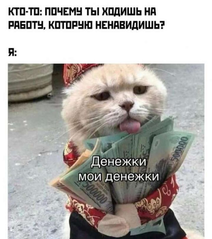 КТП ТП ППЧЕМН ТЫ ХПдИШЬ Нд РдЕПТН КПТПРНШ НЕНПВИДИШЬ