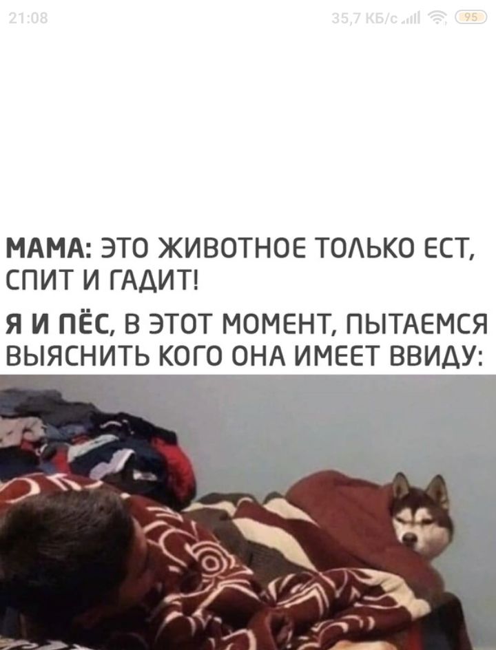 МАМА ЭТО ЖИВОТНОЕ ТОАЬКО ЕСТ СПИТ И ГАДИТ Я И ПЁС В ЭТОТ МОМЕНТ ПЫТАЕМСЯ ВЫЯСНИТЬ КОГО ОНА ИМЕЕТ ВВИДУ