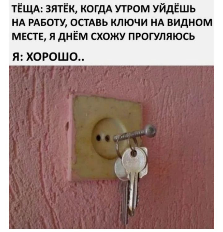 тёщд зятёк когдА утром уйдёшь НА РАБОТУ остмзь ключи НА видном месте я днём схожу прогуляюсь Я ХОРОШО