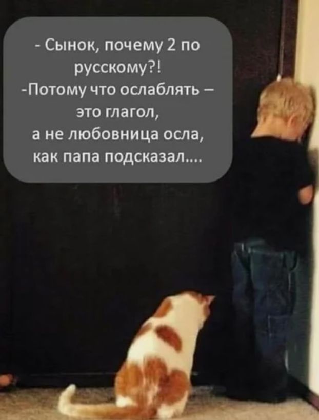 Сынок почему 2 по русскому Потому что ослаблять это глагол а не любовница осла как папа подсказал