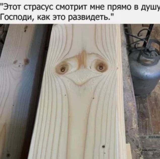 Этот сграсус смотрит мне прямо в душу Господи как это развидеть Ж