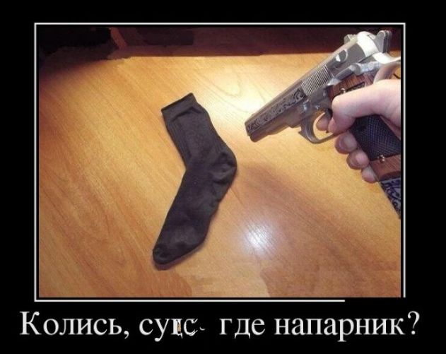 Колись суцс где напарник