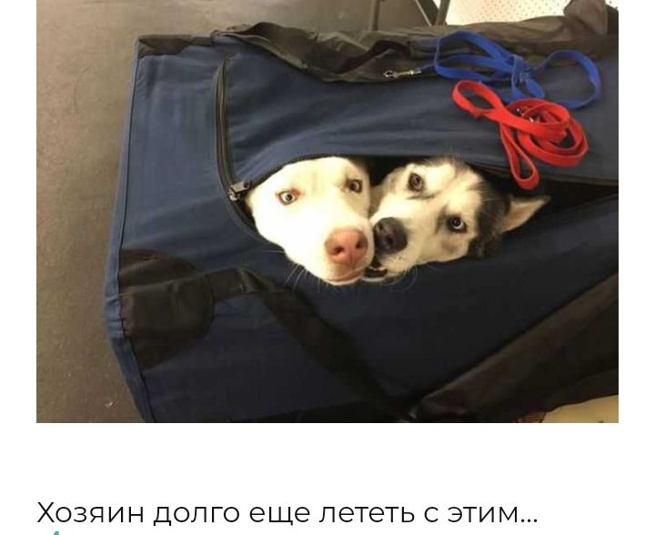 ХОЗЯИН ДОЛГО еще лететь С ЭТИМ