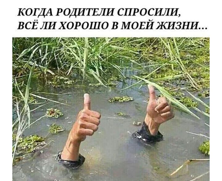 КОГДА РОДИТЕЛИ СПРОСИЛИ ВСЁ ЛИХОРОШО В МОЕЙЖИЗНИ
