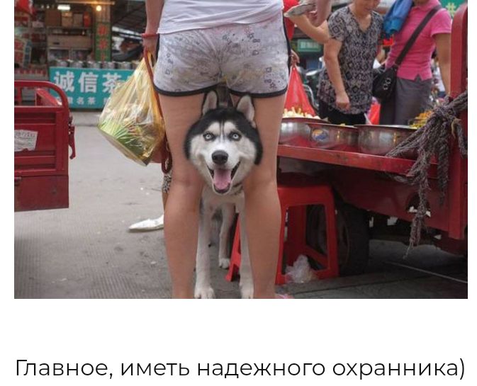 ГПЭВНОЭ ИМЭТЬ НЭДеЖНОГО охранника