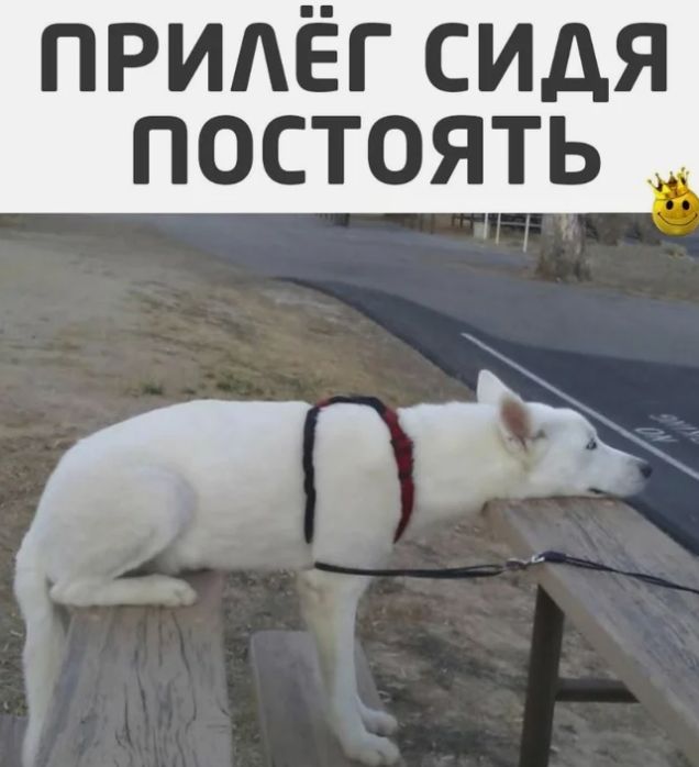 ПРИАЁГСИДЯ постоять