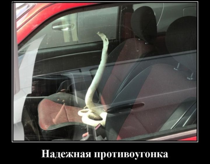 Надежная противоугонка