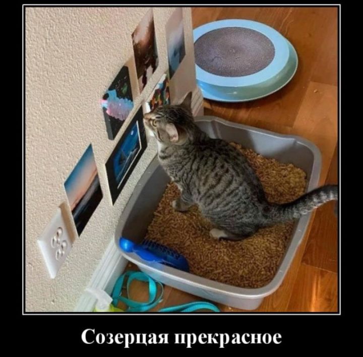 Созерцая прекрасное