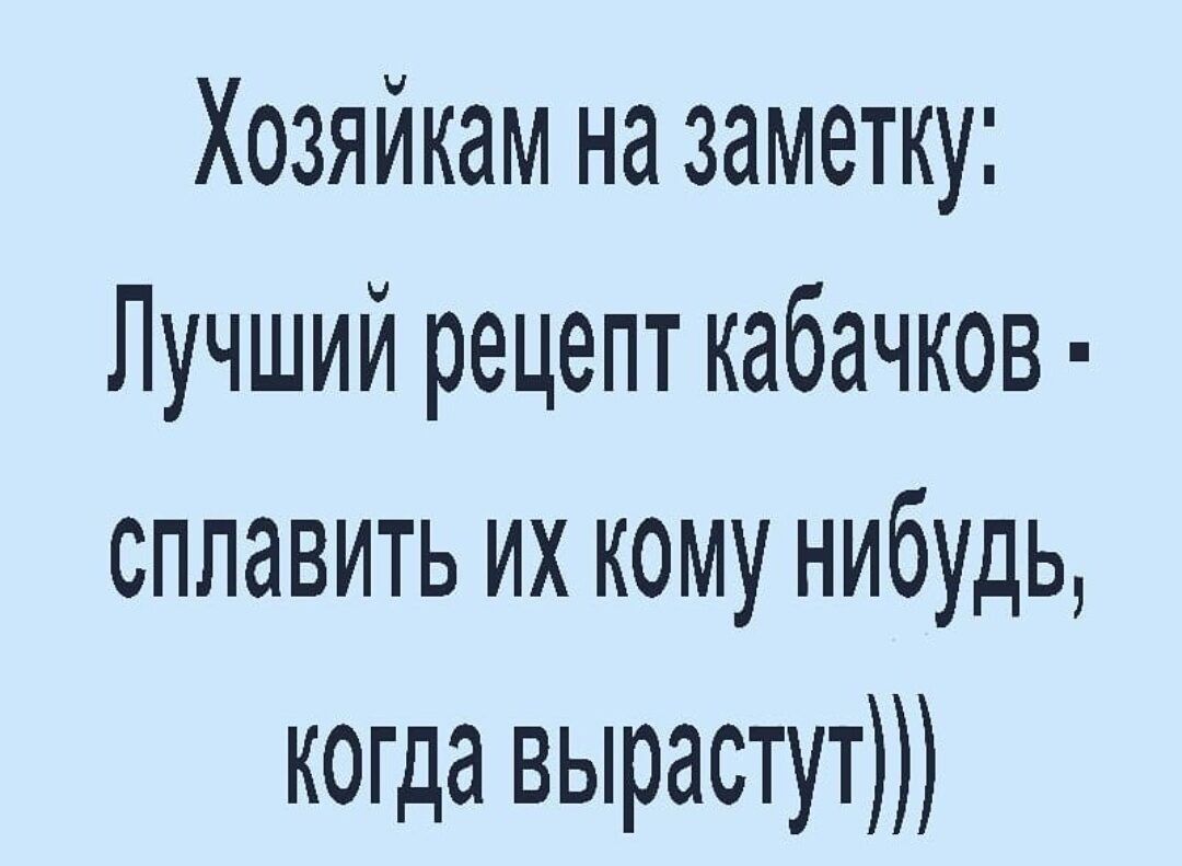 Хозяйкам на заметку Лучший рецепт кабачков сплавить их кому нибудь когда вырастут