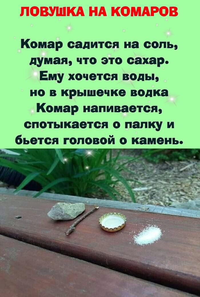 Комар садится на соль думая что это сахар Ему хочется воды но в крышечке водка Комар напивается спотыкается о папку и бьется головой о камень