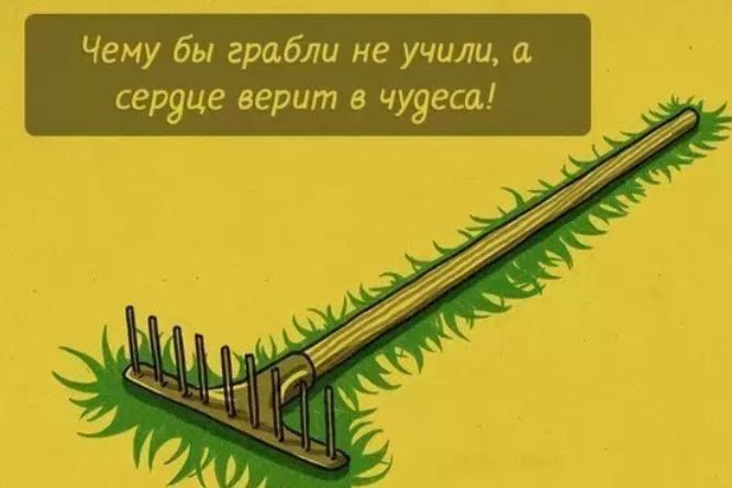 Чему бы грабли не учили а _ сер9це_ верит в чудеса