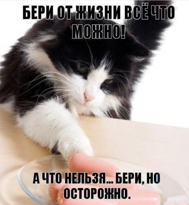 А что НЕЛЬЗЯ БЕРИ 0 00Т0Р0ШН0