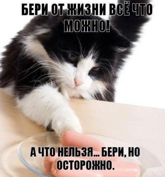 А что НЕЛЬЗЯ БЕРИ 0 08Т0Р0ЖН0