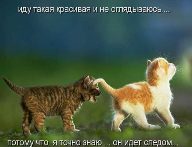 ИДУ такая КРЭСИВЗЯ И НЕ ОГЛЯДЫВЭЮСЬ ПОТОМУ ЧТО Ёточно ЗНЗЮ ОН ИДеТ СПЭДОМ