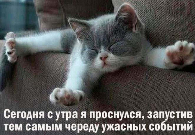 Сегодня с утра я проснулся зап стив тем самым череду ужасных со ытий