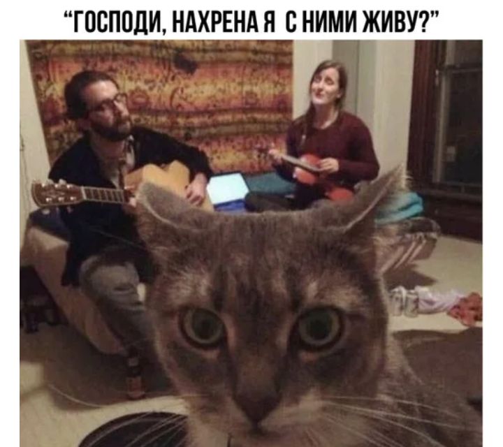 ГПСПОЛИ НХРЕНА Я В НИМИ ЖИВУ Міиштъцм