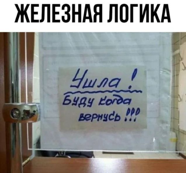ЖЕЛЕЗНАЯ ЛОГИКА