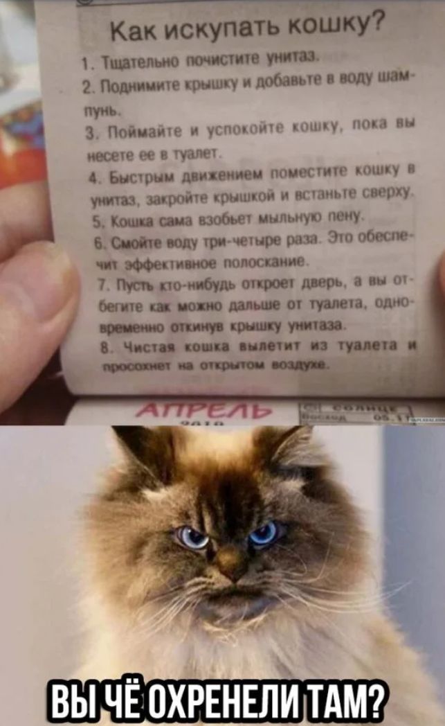 Как искупить кбшку Тштелыо тип ю 2 Помните крышку добавив в воду шац пуиъ 3 Пойиаичг и уши мч минц ннм ин несет 4 0 в чат Бнсчрни движением шипит наши и закрой крипл кои истине сверху Ковш ша взобьеч пыльную пеку 6 Свой овцу тримешре раза 3 обеспе чп мест ное полоскание 7 кто нибудь опрос а ш бете пот шыш от туиъета одно М М МШ Чили пни инт п тип и _ ВЫ Ч ОХРЕНЕЛИ