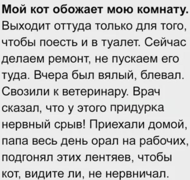 Мой кот обожает мою комнату Выходит оттуда только для того чтобы поесть и в туалет Сейчас делаем ремонт не пускаем его туда Вчера был вялый блевал Свозили к ветеринару Врач сказал что у этого придурка нервный срыв Приехали домой папа весь день орал на рабочих подгонял этих лентяев чтобы кот видите ли не нервничал