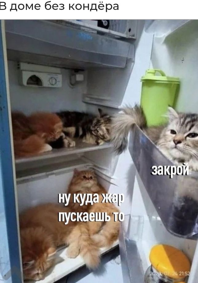 доме без кондёра