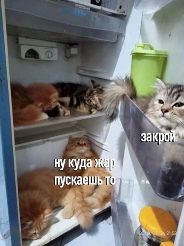 _ пускаеЁЗ