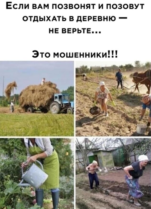 ЕСЛИ ВАМ ПОЗВОНЯТ И ПОЗОВУТ ОТДЫХАТЬ В дЕРЕВНЮ _ НЕ ВЕРЬТЕ Это мошенники