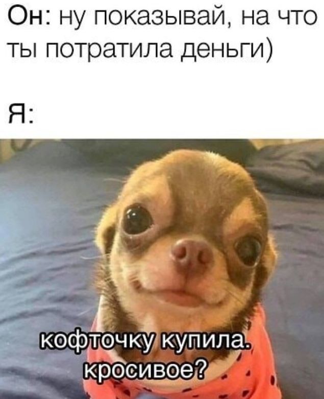 Он ну показывай на что ты потратила деньги Я У Ъ _х 7 кофтісагкё купила кросивре