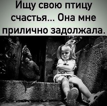 Ищу свою птицу счастья Она мне п илично задолжала