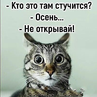 Кто это там стучится Осень Не открывай