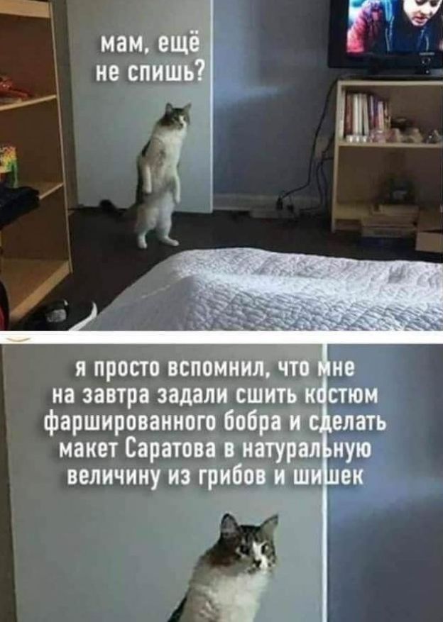 я просто всп М на завтра задалтсш фаршированнцгп бб макетСарті величину и Ш