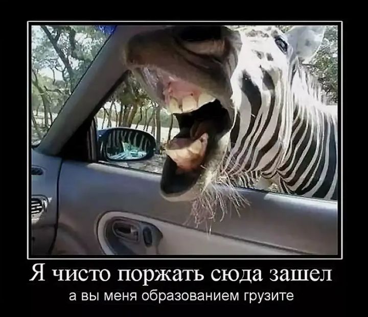 Я чисто поржать сюда зашел а ВЫ МЕНЯ образованием грузите