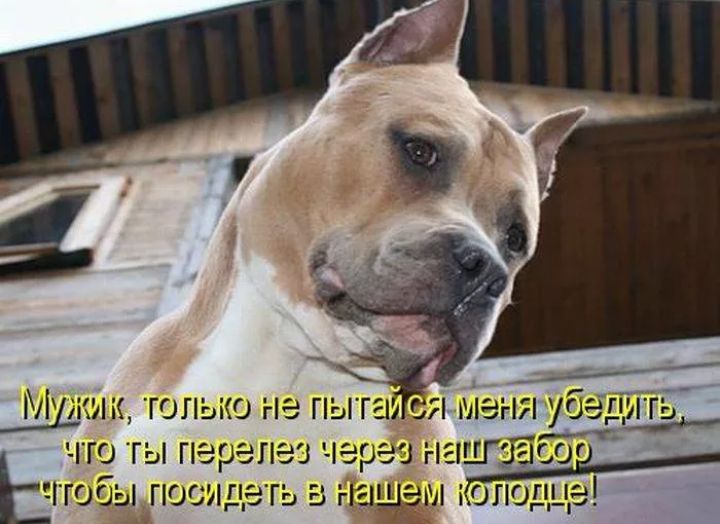 МрГИК ТОЛЬКО НЭ пыта СЯ Аіэ гто ЭДГ чго гы перепез враз наШзагог Юбы пос идегь Вг нащем Копоппе п пг