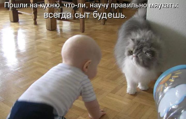 ПЁршпи нащнЦЧтопи научу правильно б _ БСЗГДЕ СЫТ УДеШЬ