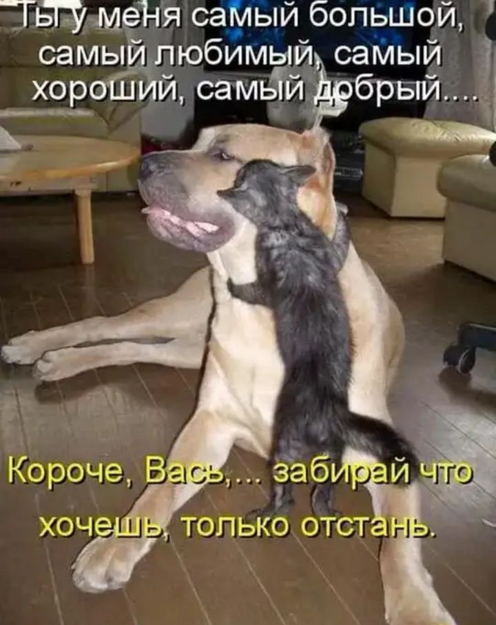 ТБГЗ мёд Я саМый большой самыЁ любимый самый хороиЁ й самьТй