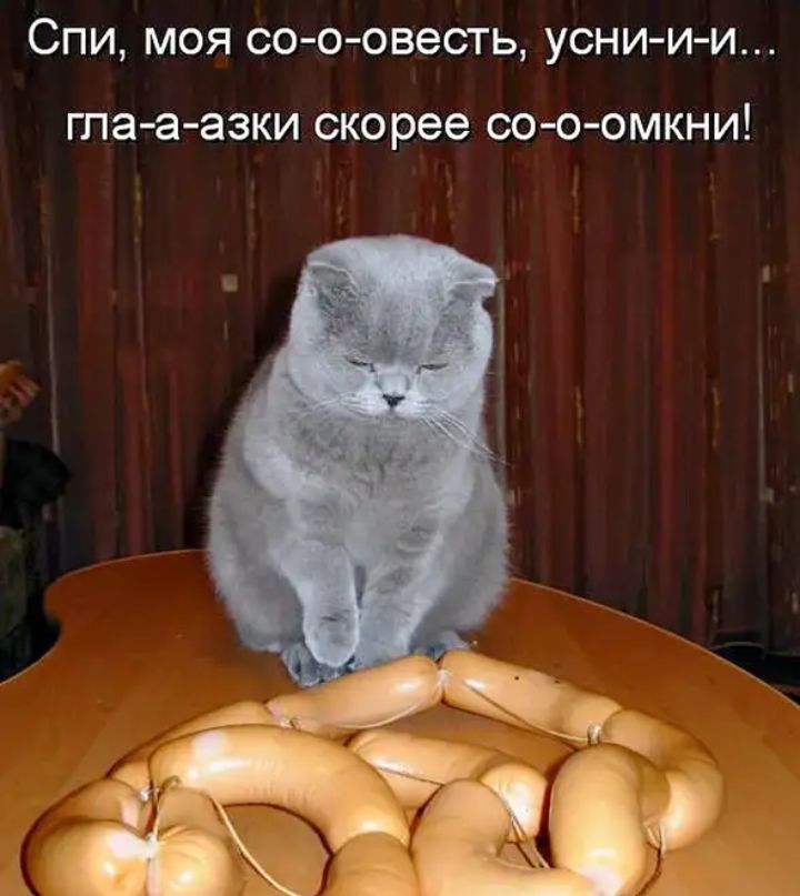 СПИ МОЯ СО О ОВЭСТЬ УСНИ И И гла а азки скорее СО О ОМКНИ