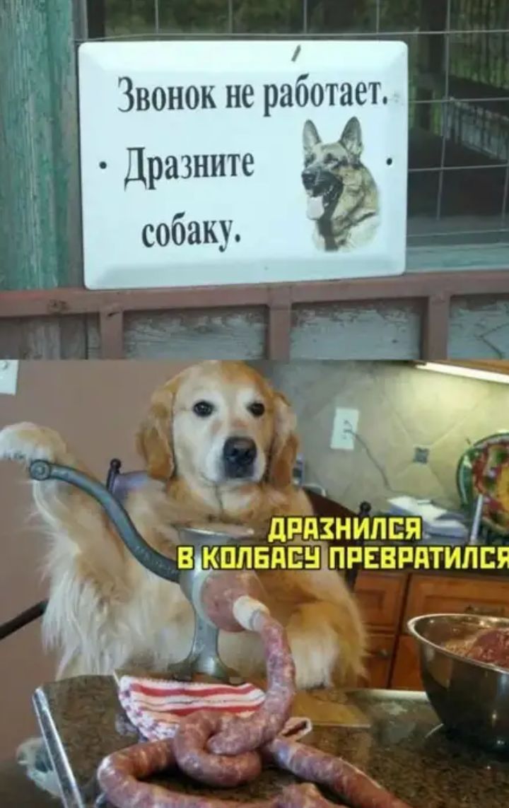 звонок не работает,   дразните ё