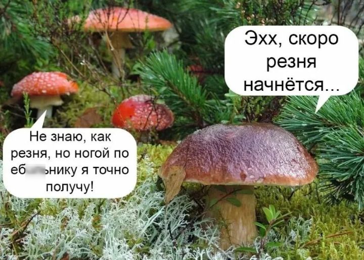 Эхх скоро резня начнётся Не знаю как резня но ногой по еб