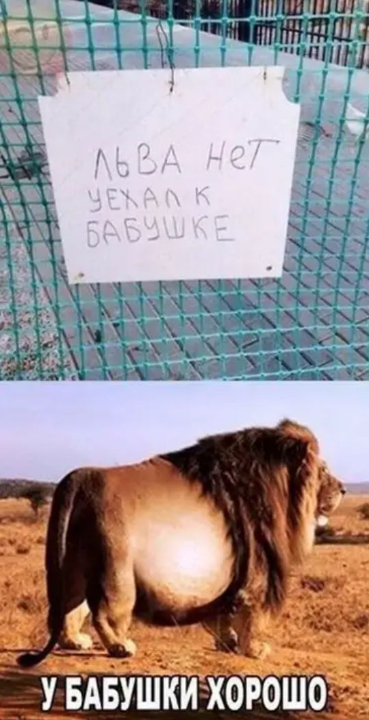 иии 3 51 ап ШШШ Гіорош к У Б А Б