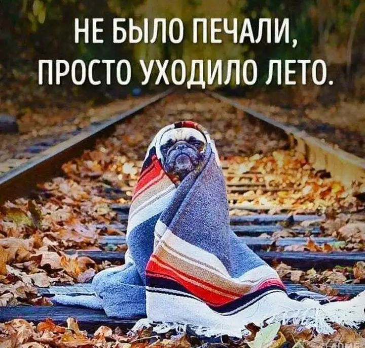 НЕ БЫЛО ПЕЧАЛИ ПРОСТО УХОДИЛО ЛЕТО