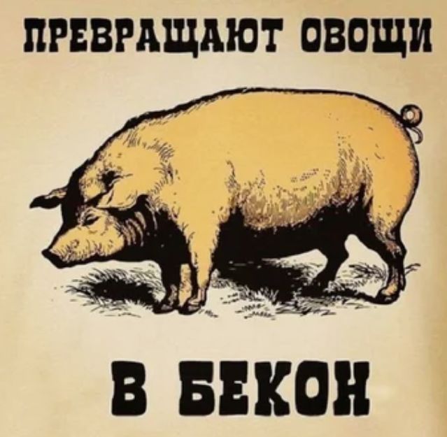 ПРЕВРАЩМОТ ОВОЩИ д ы _ _ _ а